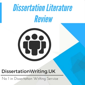 literature review writer